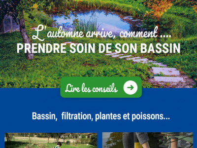 Comment prendre soin de son bassin à l'approche de la saison hivernale ?